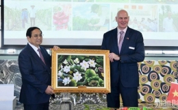 Thúc đẩy hợp tác sâu rộng trong lĩnh vực nông nghiệp giữa Việt Nam và New Zealand