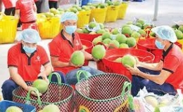 Xuất khẩu nông, lâm, thuỷ sản đạt gần 10 tỷ USD
