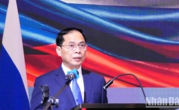 Làm sâu sắc quan hệ Đối tác chiến lược toàn diện Việt Nam -Liên bang Nga