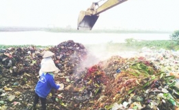 Hiểm họa tiềm ẩn từ rác