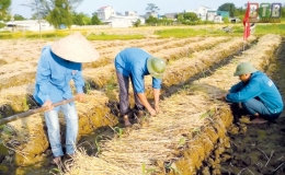 Bí thư Đoàn với giải thưởng Lý Tự Trọng