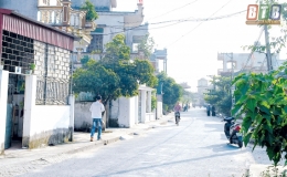 Tài năng, phẩm hạnh của một người thầy dạy vua