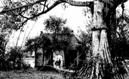 Pháo đài đồng bằng