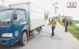 Tiền Hải khoanh vùng dập bệnh dịch tả lợn châu Phi