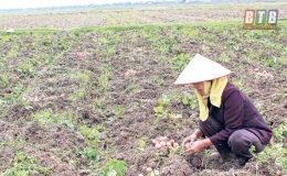 Thôn Tiền xây dựng đời sống văn hóa