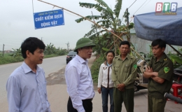 Thái Thụy: Kiểm tra công tác phòng, chống bệnh dịch tả lợn châu Phi và bảo đảm an toàn giao thông