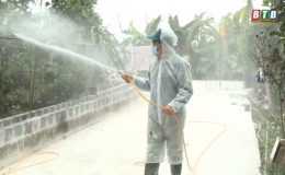 "5 không" trong phòng chống bệnh dịch tả lợn châu Phi ở Hợp Tiến