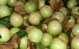 Xuất khẩu nông lâm thuỷ sản đạt 8,8 tỷ USD