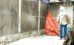 Đông Hưng phòng, chống bệnh dịch tả lợn châu Phi quyết liệt nhưng chưa hiệu quả