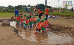 Trường Mầm non Hoa Phượng tổ chức hoạt động trải nghiệm nông trang cho học sinh