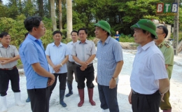 Đồng chí Phó Bí thư Tỉnh ủy, Chủ tịch UBND tỉnh kiểm tra công tác phòng, chống bệnh dịch tả lợn châu Phi ở xã Tân Bình