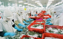 Xuất khẩu sang nhiều nước tăng mạnh nhờ CPTPP