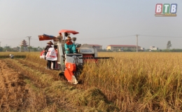 Đẩy mạnh cơ giới hóa nông nghiệp