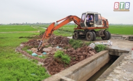 Xốc lại tinh thần cho người chăn nuôi lợn