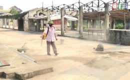 Đông Hưng: Tổ chức tuần lễ vệ sinh tiêu độc khử trùng lần 2