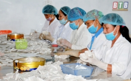 Điểm tựa cho hội viên phát triển