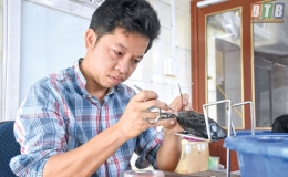 Anh Thuận táo bạo với nghề nuôi trai lấy ngọc