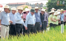 “Nông dân mới” truyền lửa
