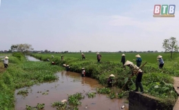 Hội LHPN xã Minh Phú: Ra quân vớt bèo bồng khơi thông dòng sông tự quản