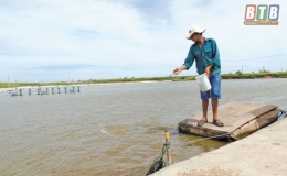 Nam Phú: Phấn đấu giành thắng lợi vụ thủy sản xuân hè