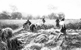 Pháo đài Đồng Bằng