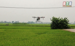 Sử dụng máy bay không người lái phun thuốc trừ sâu