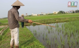Tiền Hải: Nghiêm cấm đánh bắt chuột bằng điện