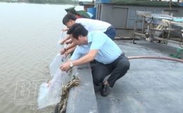 Chi cục Thủy sản: Thả hơn 2 vạn con giống ra môi trường tự nhiên