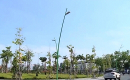 Khởi động chiến dịch trồng cây xanh Green Up Việt Nam