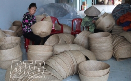 Phấn đấu có trên 15 sản phẩm OCOP đạt 3 sao trở lên