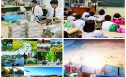Phấn đấu tăng trưởng khu vực dịch vụ 7-8%