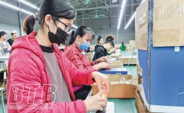 Trà Giang: Tập trung phát triển công nghiệp và thương mại