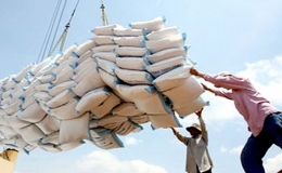 Việt Nam xuất siêu tăng đột biến