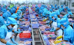 Xuất khẩu sang EU đạt gần 4,8 tỷ USD nhờ EVFTA
