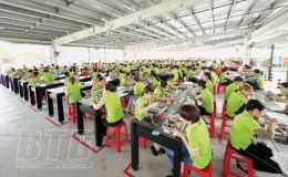 Công ty Tân Đệ: Chăm lo đời sống người lao động