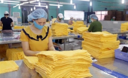 WB: Việt Nam có thể là quốc gia hưởng lợi nhiều nhất từ RCEP