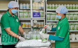 Bột sắn dây Đông La: Khẳng định thương hiệu OCOP 4 sao