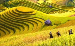 Cảnh giác với các chiêu thức lừa đảo trong mùa du lịch
