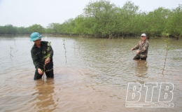 Đông Long: Giữ vững “lá phổi xanh”