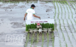 Đưa sản phẩm “vượt biên” nhờ ứng dụng thương mại điện tử