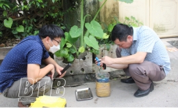 Giám sát muỗi, bọ gậy truyền bệnh sốt xuất huyết tại phường Quang Trung