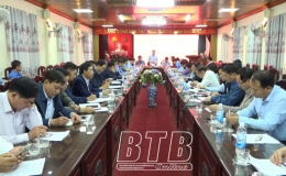 Huyện ủy Tiền Hải: Triển khai công tác nội chính và phòng, chống tham nhũng, tiêu cực quý II năm 2023