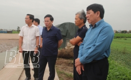 Kiến Xương: Phấn đấu đến năm 2025 chuyển đổi 344ha đất trồng lúa hiệu quả thấp sang nuôi thủy sản trong ao bán nổi