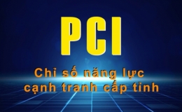 Lần đầu tiên giới thiệu và công bố Chỉ số Xanh (PGI) cấp tỉnh
