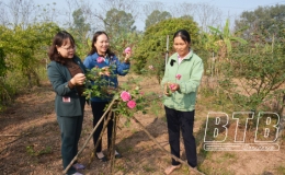 Năng động, sáng tạo phát triển kinh tế