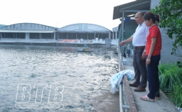 Nông dân Hưng Hà: Sản xuất, kinh doanh giỏi, giúp nhau làm giàu