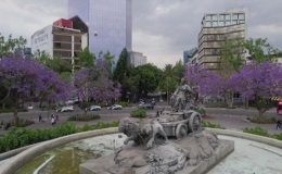Thủ đô Mexico ngập sắc phượng tím