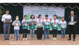 Trường Tiểu học Việt Thuận: Hơn 800 học sinh được hướng dẫn kỹ năng nói “không” với thuốc lá điện tử