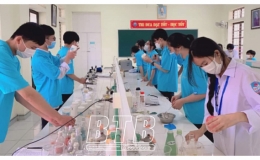 Ươm mầm “hạt giống đỏ” trong trường học