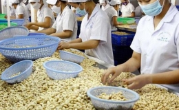 2 nhóm hàng xuất khẩu ngành nông nghiệp tăng trưởng 3 con số
